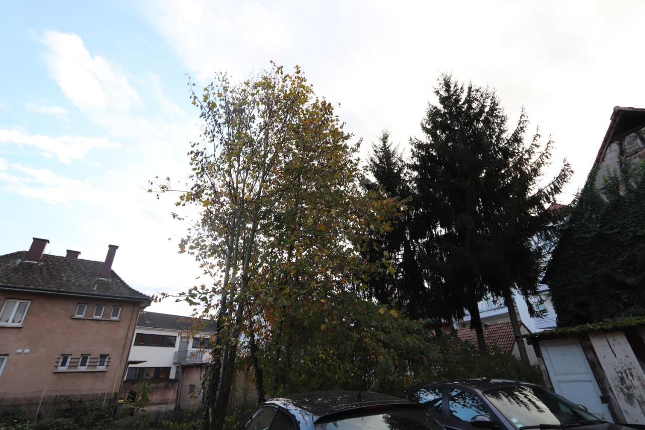Homeday Cultivateur N°2 Appartement Type F3 Haguenau Luaran gambar